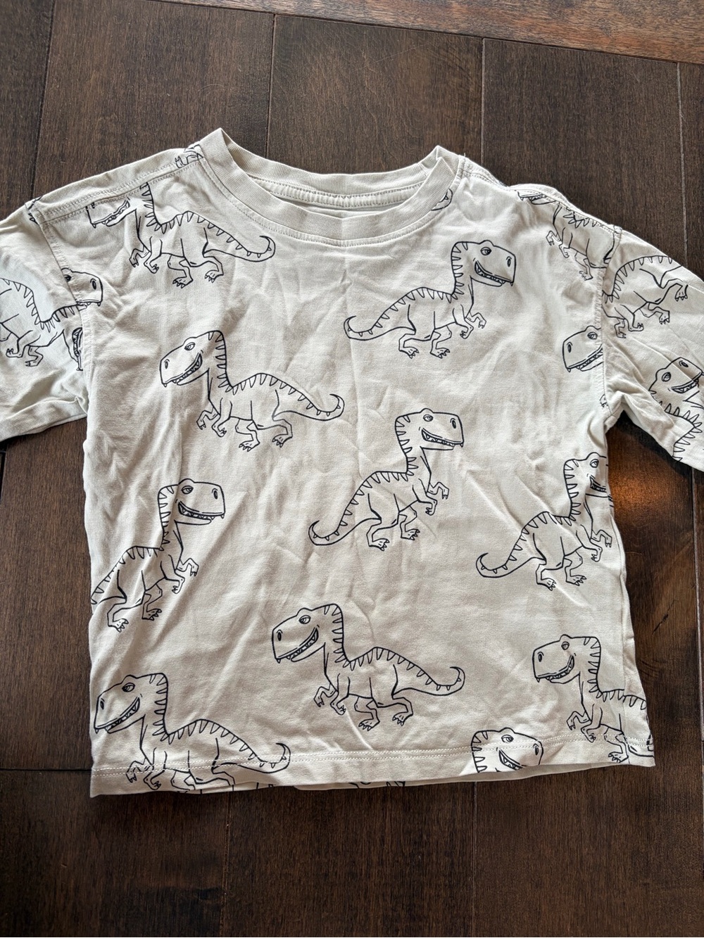 Kids Dinosaur Print Tee - sage Green with Black Dino Sketches